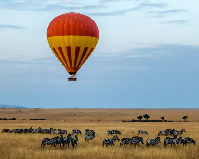 Heißluftballon über einer Zebraherde