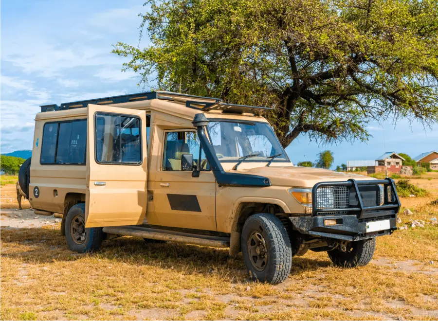 Geländewagen mit offenem Dach unter einer Akazie